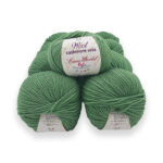 wool_cs101